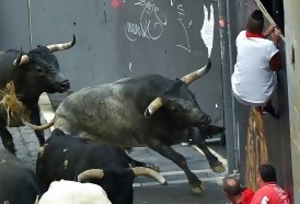Portal 180 - Hombre murió corneado en encierro de toros en España