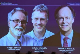 Portal 180 - Nobel de Medicina para trío que investigó cómo se adaptan las células al oxigeno
