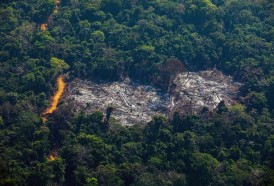 Portal 180 - Deforestación amazónica de Brasil bate récord desde 2008