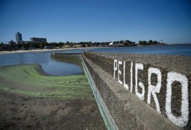 Portal 180 - Un “ejército científico” en construcción contra las cianobacterias