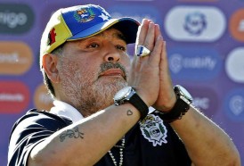 Portal 180 - Maradona renunció como entrenador de Gimnasia y Esgrima La Plata
