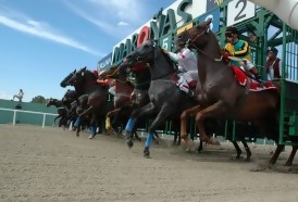 Portal 180 - El próximo 6 de enero se disputará el histórico Gran Premio Ramírez en el Hipódromo Nacional de Maroñas