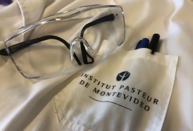 Portal 180 - Empresa uruguayo-argentina trabaja en fármaco contra la obesidad