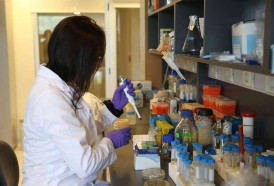 Portal 180 - En busca del “mapa molecular” de resistencia a los antibióticos en Uruguay
