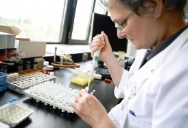 Portal 180 - OMS: amenaza de bacterias resistentes “nunca fue tan inmediata y urgente”
