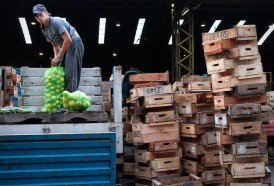 Portal 180 - Mercado Modelo cerró el tercer año con récord de ingreso de frutas y hortalizas