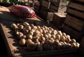 Portal 180 - Canasta frutihortícola 9% por debajo del promedio histórico