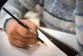 Portal 180 - Gobierno suspendió las clases por 14 días