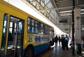 Portal 180 - Paran cooperativas del transporte por crisis en el sector