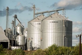 Portal 180 - El arroz destaca en un contexto de fuerte caída de las exportaciones