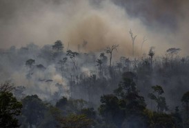 Portal 180 - Deforestación e impunidad atizan los incendios amazónicos en Brasil
