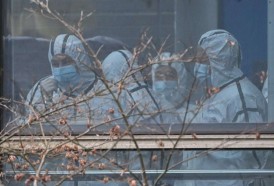 Portal 180 - Misión de OMS en China no halla aún datos contundentes sobre origen del covid-19
