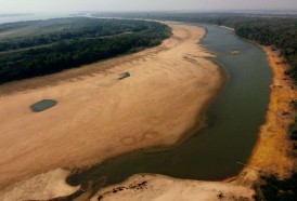 Portal 180 - Bajante histórica del río Paraná: ¿ciclo natural o cambio climático?