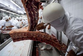 Portal 180 - Economía uruguaya creció 11,3% en el segundo trimestre