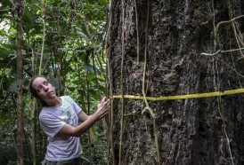 Portal 180 - “No podemos vivir en un mundo sin la Amazonía”, advierte reputada científica brasileña