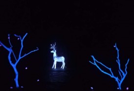 Portal 180 - Kodama Terra, la Kompanía Romanelli en el Jardín Botánico