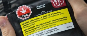 Portal 180 - Con THC libre y 30 gramos como límite de tenencia, Canadá legaliza cannabis recreativo