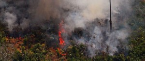 Portal 180 - Los incendios en Amazonía torpedean el acuerdo entre la UE y Mercosur
