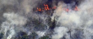 Portal 180 - Bolsonaro moviliza tropas contra incendios en la Amazonía y rechaza presión internacional