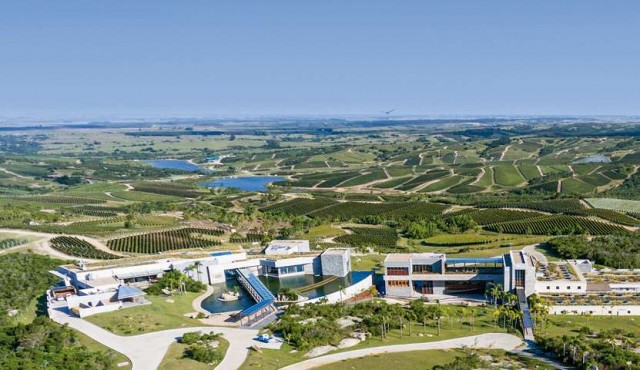 Bodega uruguaya vuelve a ubicarse entre las 10 mejores del mundo