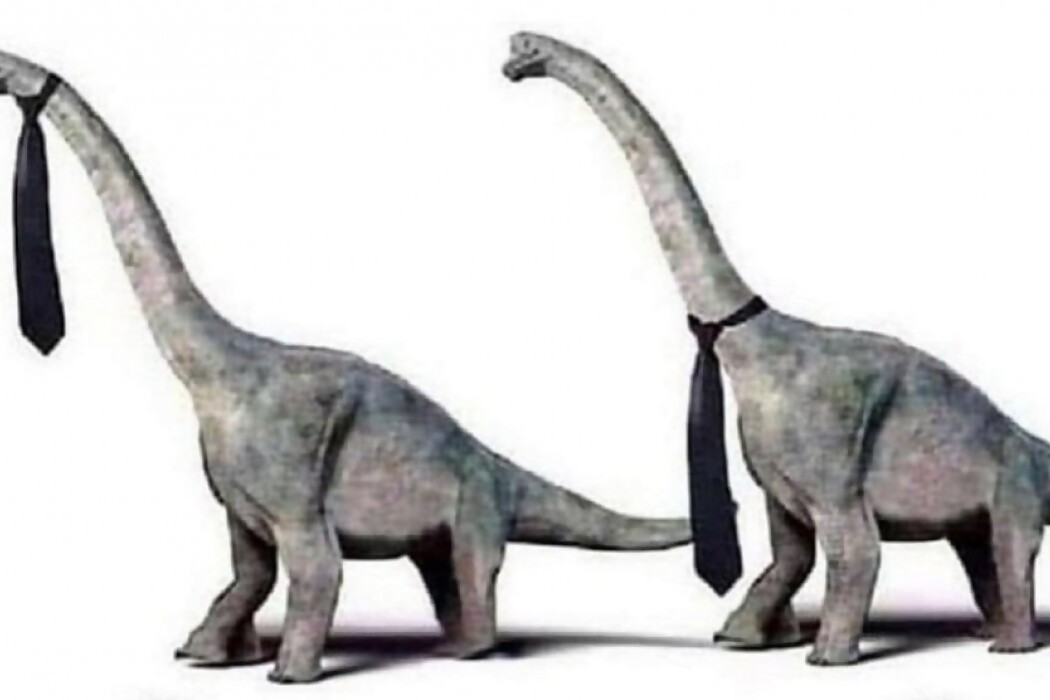 Verdadero o Falso — DelSol | Del Sol 99.5 en el la Copa América 2019