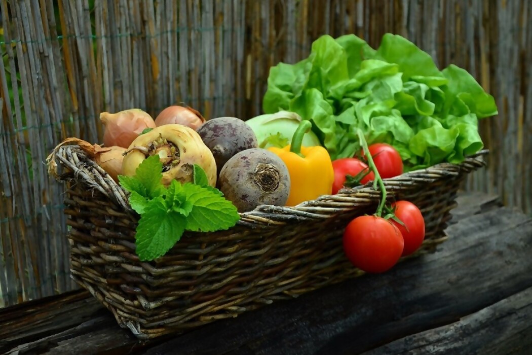 Verduras: cómo comprarlas, cocinarlas y conservarlas — DelSol | Del Sol 99.5 en el Mundial Rusia 2018