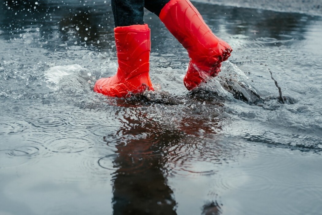 Para faltar al trabajo ¿día de lluvia o día de sol? — DelSol | Del Sol 99.5 en el Mundial Rusia 2018