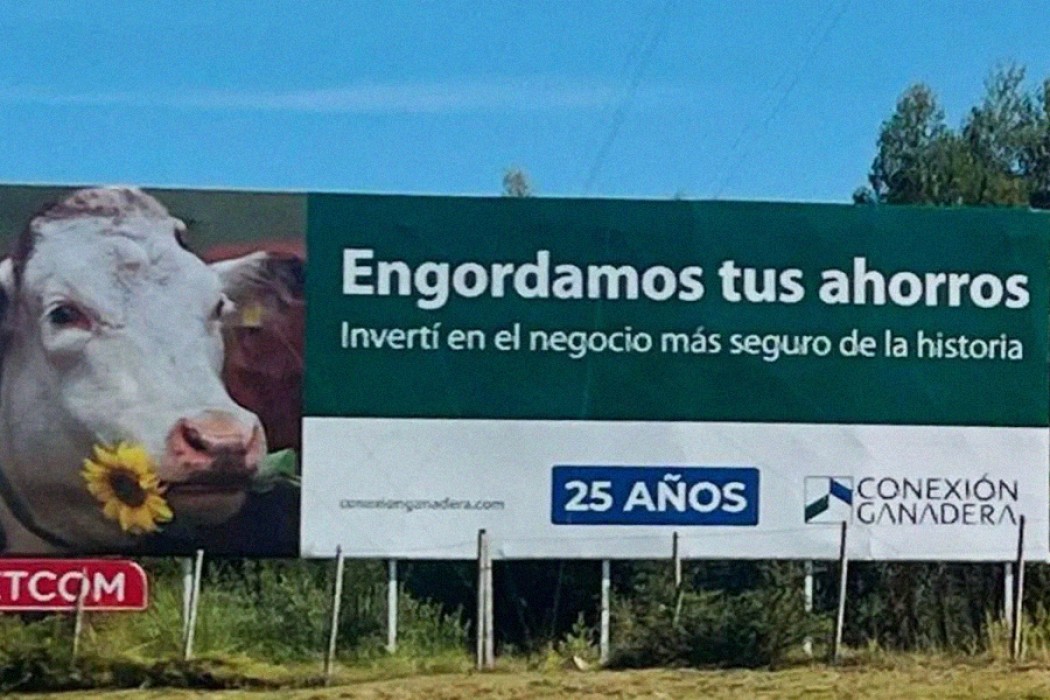 “Hay más personas que formaron parte de la estafa y continúan escondiendo dinero” — DelSol | Del Sol 99.5 en el la Copa América 2019