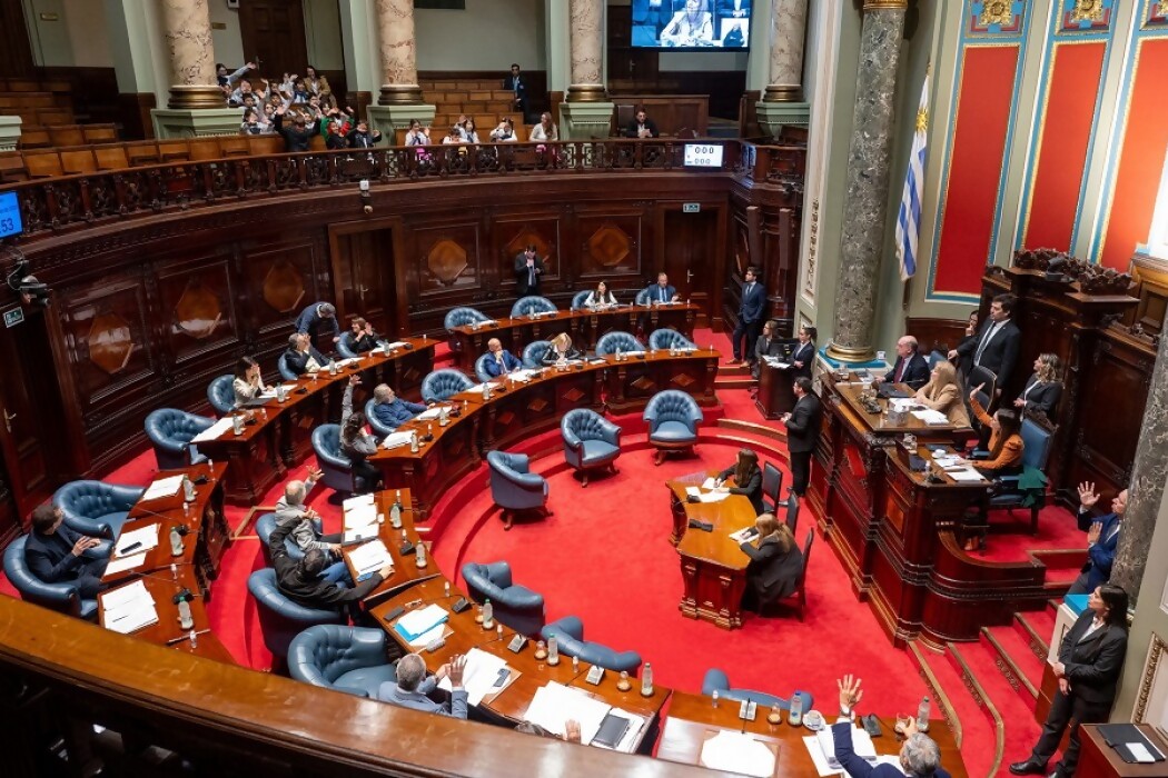 El Parlamento y la sandía de las venias arriba de la Jutep — DelSol | Del Sol 99.5 en el Mundial Rusia 2018