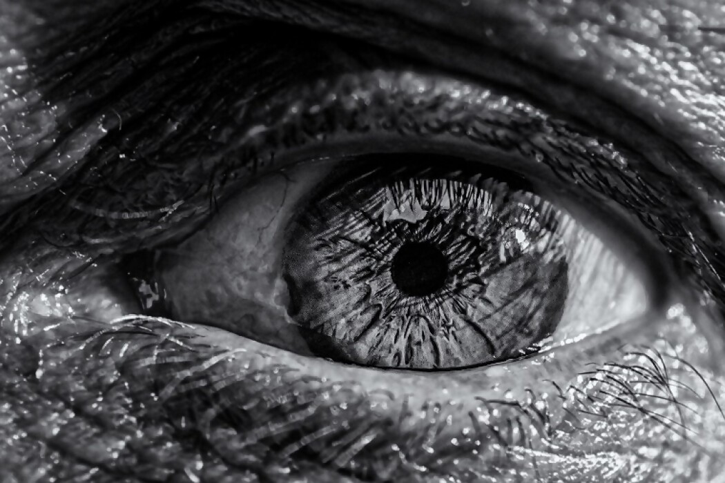 Los números de los cinco sentidos — DelSol | Del Sol 99.5 en el Mundial Rusia 2018