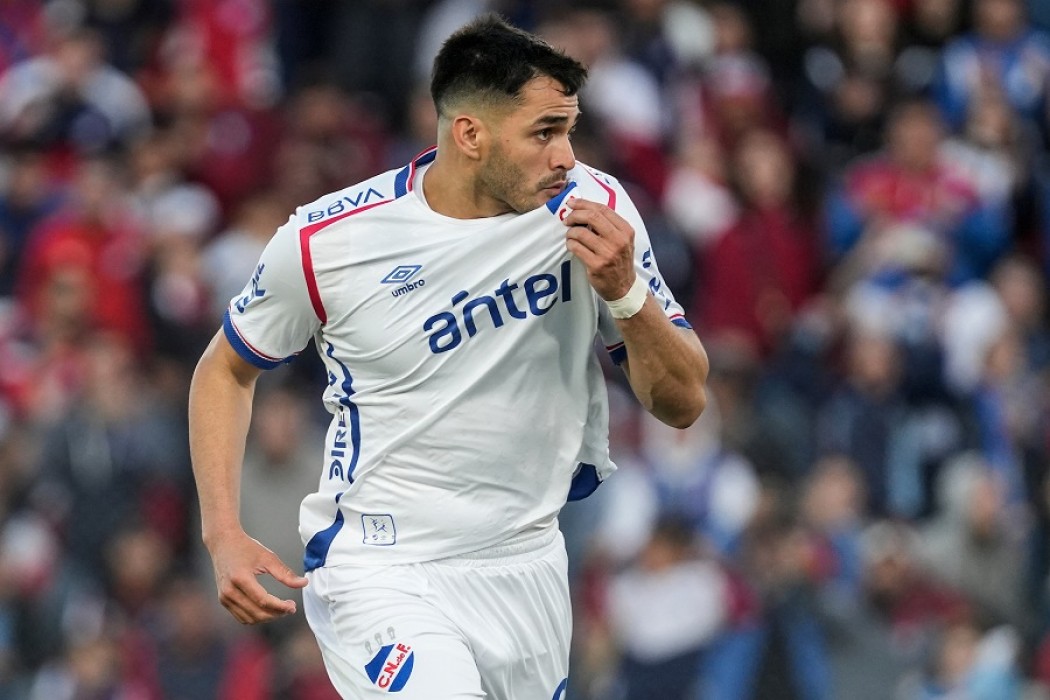 ¿Elefante u hormiga?  — DelSol | Del Sol 99.5 en el Mundial Rusia 2018