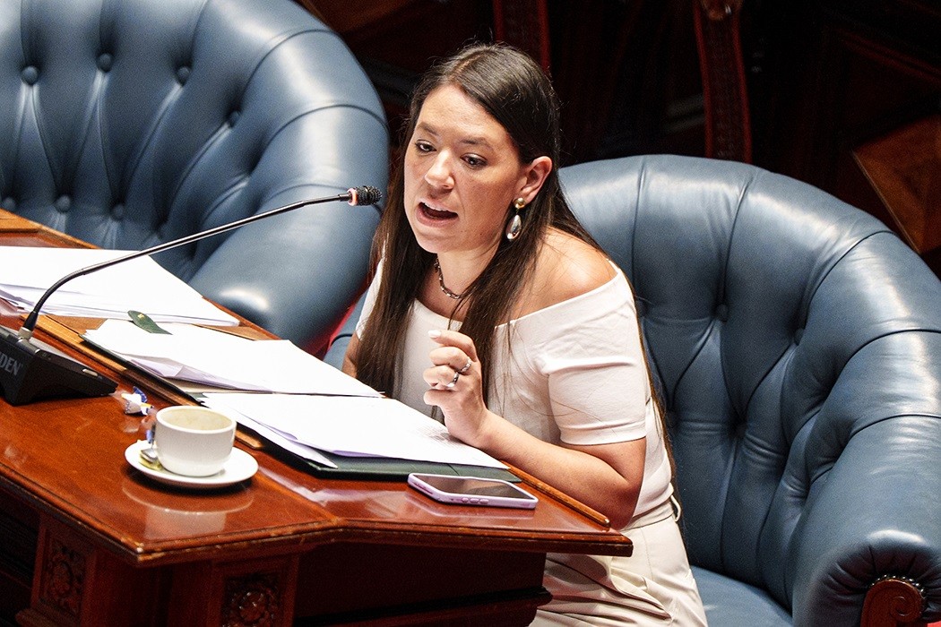 “No es un daño interpelar a un canciller que está en su mejor momento” — DelSol | Del Sol 99.5 en el la Copa América 2019