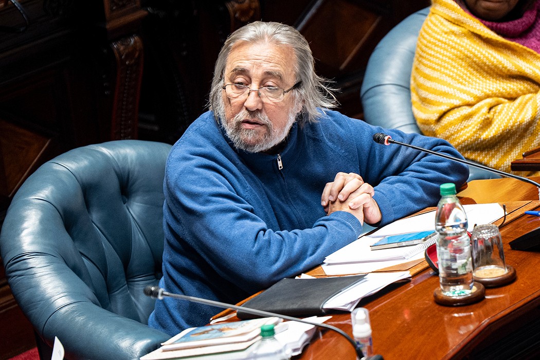 “El Estado no puede exonerar para construir 25 metros cuadrados” — DelSol | Del Sol 99.5 en el Mundial Rusia 2018