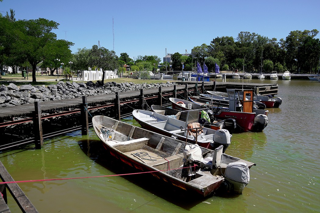 “Le pedimos al gobierno amortiguar la suba del gasoil marítimo porque es un sector golpeado” — DelSol | Del Sol 99.5 en el Mundial Rusia 2018