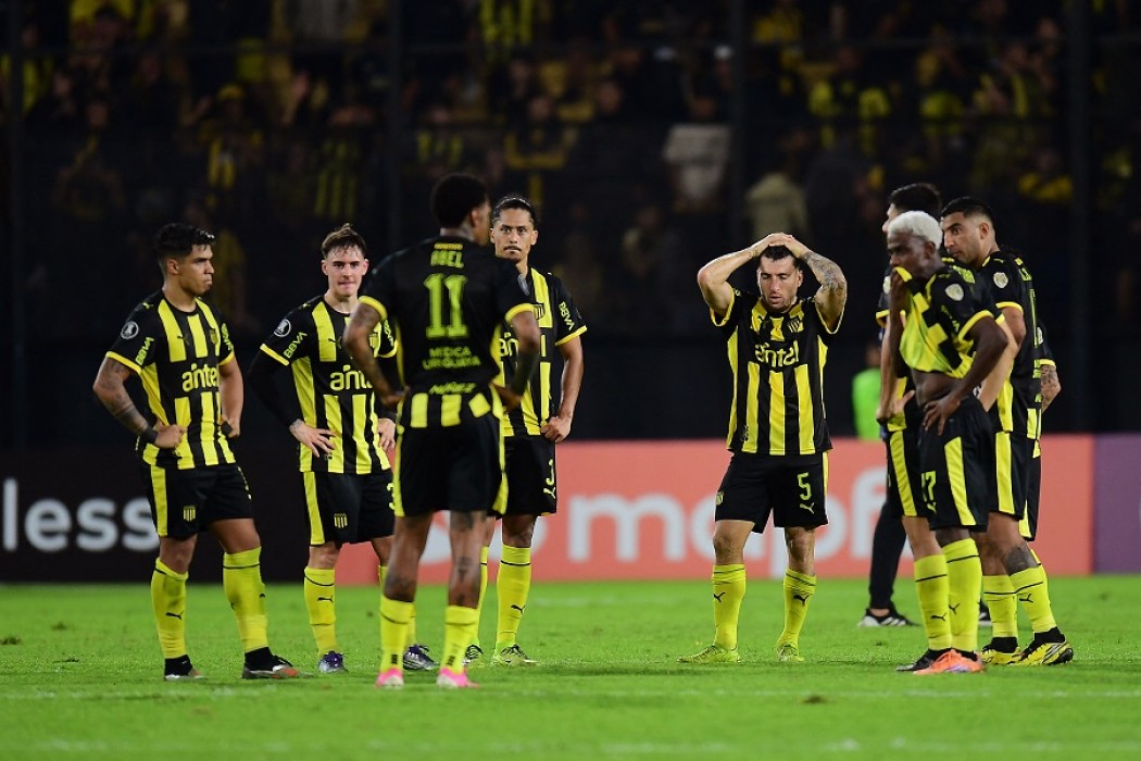 Sorpresa calamar — DelSol | Del Sol 99.5 en el la Copa América 2019