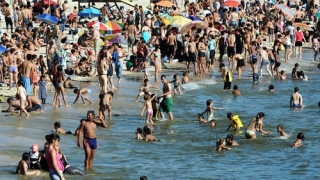 Un enero del que conviene desconfiar y otras como 10 noticias en un minuto. - Darwin concentrado - DelSol 99.5 FM