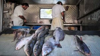 ¿Qué porcentaje de uruguayos no come carne el Viernes Santo? - Sobremesa - DelSol 99.5 FM