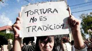 Animalistas contra las jineteadas: “ningún precandidato se interesó” - Entrevistas - DelSol 99.5 FM