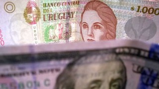 Darwin llamó a creer en el peso uruguayo y dio consejos económicos - Columna de Darwin - DelSol 99.5 FM