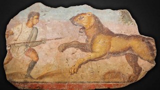Las fieras en Roma - Segmento dispositivo - DelSol 99.5 FM