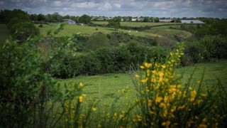 Día Mundial del Medio Ambiente - Titulares y suplentes - DelSol 99.5 FM