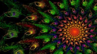 La historia del LSD y su popularidad en Hollywood - Segmento dispositivo - DelSol 99.5 FM