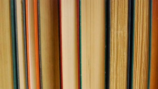 Los libros que vos robáis - Ines Bortagaray - DelSol 99.5 FM