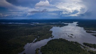Incendios en el Amazonas, “el pulmón” del mundo - Titulares y suplentes - DelSol 99.5 FM