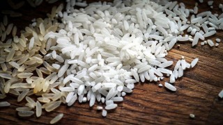Qué alimento noble el arroz - De pinche a cocinero - DelSol 99.5 FM