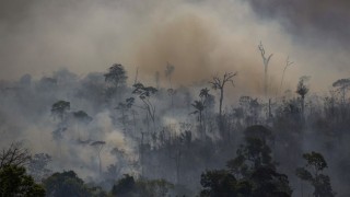 ¿Qué está pasando en la Amazonia? Causas concretas y simbólicas - Denise Mota - DelSol 99.5 FM