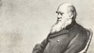 La vida de Charles Darwin - Segmento dispositivo - DelSol 99.5 FM