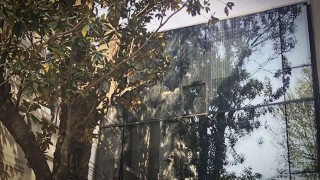 Lo mejor, lo peor y anécdotas de una mudanza - Sobremesa - DelSol 99.5 FM