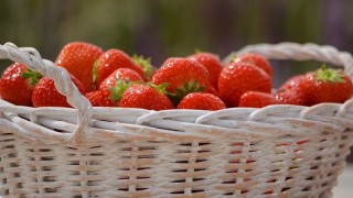 Alimentos salvajes: la tendencia alimenticia de agachar el lomo y buscar hongos, raíces - Gustavo Laborde - DelSol 99.5 FM