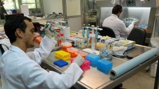 ¿Cuál es la estrategia de vigilancia sobre coronavirus que aplica Uruguay? - Informes - DelSol 99.5 FM